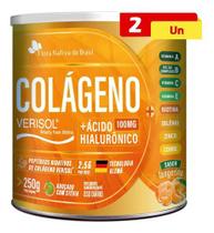 Colágeno Verisol Com Ácido Hialurônico 2 X 250g Flora Nativa