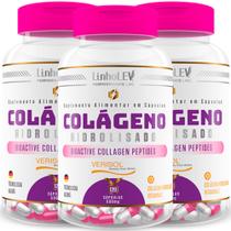 Colágeno Verisol Peptides Bioactive Hidrolisado 3 Frascos 360 caps GELITA Colágeno Verisol Peptides Bioactive Hidrolisado 3 Frascos 360 caps GELITA