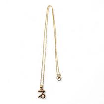 Colar Capricórnio Signo do Zodíaco Pingente Dourado 30 cm Colar Capricórnio Signo do Zodíaco Pingente Dourado 30 cm