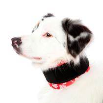 Colar Cervical Para Cães Pet Med Tecido - N 5