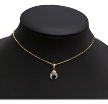 Colar Chifre Italiano Zirconia Dourado F Ouro 18k Semi Joia