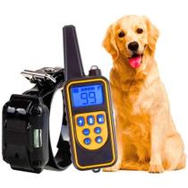 Colar Coleira Adestramento Eletrônica Para Cachorro 800m