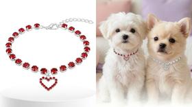 Colar Coleira Pet Strass Coração Luxo Gato Cachorro Premium Ajustável Conforto cor:vermelho Colar Coleira Pet Strass Coração Luxo Gato Cachorro Premium Ajustável Conforto cor:vermelho