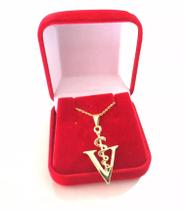 Colar Cordão Gargantilha Veterinária Folheado 18k