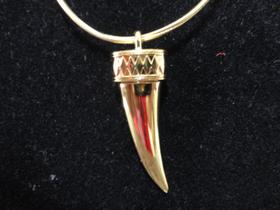 colar dente dourado 2