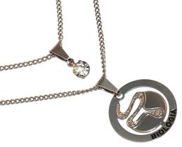 Colar Duplo Minha Profissão Biologia Bióloga Aço Inox Colar Duplo Minha Profissão Biologia Bióloga Aço Inox