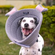 Colar Elizabetano Cone Pet Elefante Colar Elizabetano Cone Pet Elefante