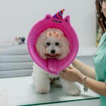 Colar Elizabetano Cone Pet Unicórnio Colar Elizabetano Cone Pet Unicórnio