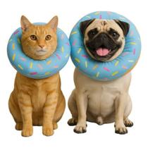 Colar elizabetano disco cirurgia pet conforto para fêmea