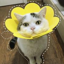 Colar Elizabetano Gato Pet Caes Cirurgia Recuperaçao Cone Ajustavel Dobravel Confortavel Anti Lambida Resistente Colar Elizabetano Gato Pet Caes Cirurgia Recuperaçao Cone Ajustavel Dobravel Confortavel Anti Lambida Resistente