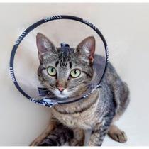 Colar Elizabetano para Gatos Tamanho 01 - Nina Pet