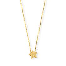 Colar Estrela Ouro Dourado 040610.02883