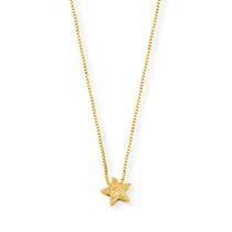 Colar Estrela Ouro Dourado 040610.02883