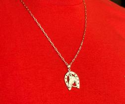 Colar horse Colar horse