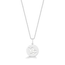 Colar Medalha Signo Capricórnio Prata 925