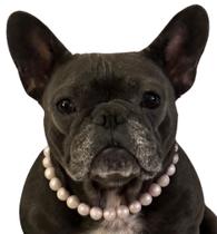 Colar para Cão X-Small 30 cm Pérola Rosa Sólida
