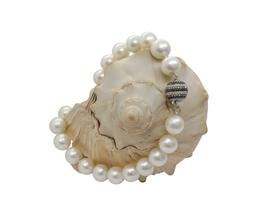 Colar Pérolas 12mm com 2,55KL de Diamantes ouro branco 18k