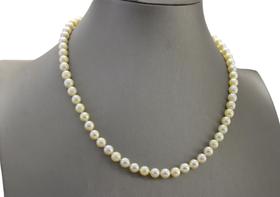 Colar Pérolas Champagne Água Salgada Fecho Português Ouro 18 Colar Pérolas Champagne Água Salgada Fecho Português Ouro 18