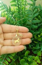 Colar Pet pingente raça Blue Heeler Banhado a Ouro 18k