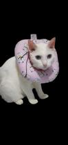 Colar Protetor Cirúrgico Elizabetano Para Gatos