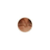 Colar SOLEVAN Dainty Clover Birthstone banhado a ouro 14 quilates Colar SOLEVAN Dainty Clover Birthstone banhado a ouro 14 quilates