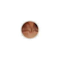 Colar SOLEVAN Trevo com Pedra do Mês Banhado a Ouro 14K