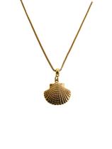 Colares Semi Joia Verniz Italiano choker Concha trabalhada Colares Semi Joia Verniz Italiano choker Concha trabalhada