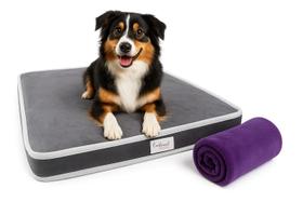 Colchão pet ortopédico comfortwell premium m cinza com cobertor pet - 01un