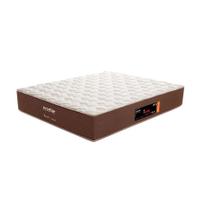 Colchão Queen Pro Quality C Mola Ensacada (32x158x198) Marrom e Bege - Prorelax