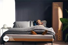 Colchão Solteiro Plus Sleepcalm Molas 88x188cm