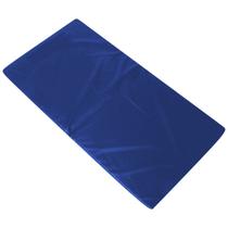 Colchonete Academia Fitness Orthovida D33 100 x 60 x 3 cm - Azul