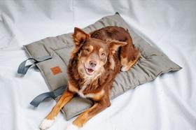 Colchonete Acquatech Joca para Cachorro e Gato Colchonete Acquatech Joca para Cachorro e Gato