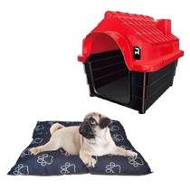 Colchonete Cama Caminha Almofada + Casinha N2 Casa Pet Gato