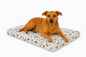 Colchonete Cama Para Pet Impermeavel Com Zíper