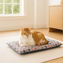 Colchonete Colchão Caminha Pet Para Cachorro E Gato 50x50 Bz