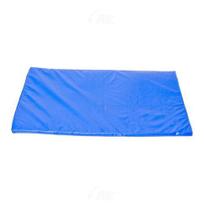 Colchonete Para Ginastica Ax Esportes 100 X 60 X 3 Cm Colchonete Para Ginastica Ax Esportes 100 X 60 X 3 Cm