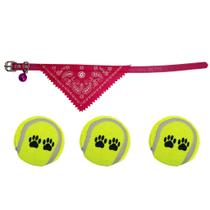 Coleira Ajustável Com Fivela Porte Pequeno + Bola de Tênis