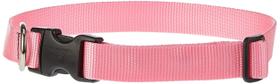 Coleira ajustável para cães Lupine Pet Basics Pink 16-28 polegadas