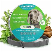 Coleira Antipulgas e Carrapatos FurLife Impermeável Cinza para Cães