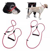 Coleira Cabresto Adestramento (sidekick) 2em1 - 1,90mts