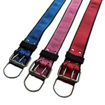 Coleira Cachorro Grande Nylon Reforçado Com Ajuste n6