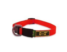 Coleira Cachorro Pequeno Filhote Little Collar Amorosso Cor: Vermelho