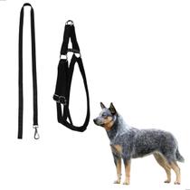 Coleira Cachorros Cães Medio Porte Peitoral com Guia 100cm Preto Coleira Cachorros Cães Medio Porte Peitoral com Guia 100cm Preto