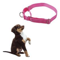 Coleira Cachorros Dog Adestramento Premium Rosa