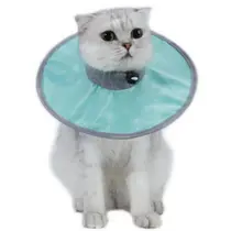 Coleira Colar Elizabetano Impermeável Ajustável Cachorro