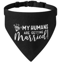 Coleira de bandana para cães de noivado HDGDT Meus humanos estão se casando Coleira de bandana para cães de noivado HDGDT Meus humanos estão se casando