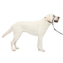 Coleira de cabeça para cães PetSafe Gentle Leader No-Pull Large Charcoal