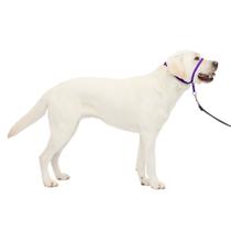 Coleira de cabeça para cães PetSafe Gentle Leader No-Pull Large Purple
