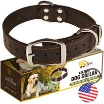 Coleira de cachorro ADITYNA Heavy Duty Black Leather para cães médios