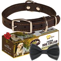 Coleira de cachorro ADITYNA Heavy Duty Black Leather para cães pequenos Coleira de cachorro ADITYNA Heavy Duty Black Leather para cães pequenos